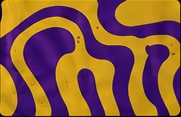Grafismo roxo e amarelo da Boca Miuda